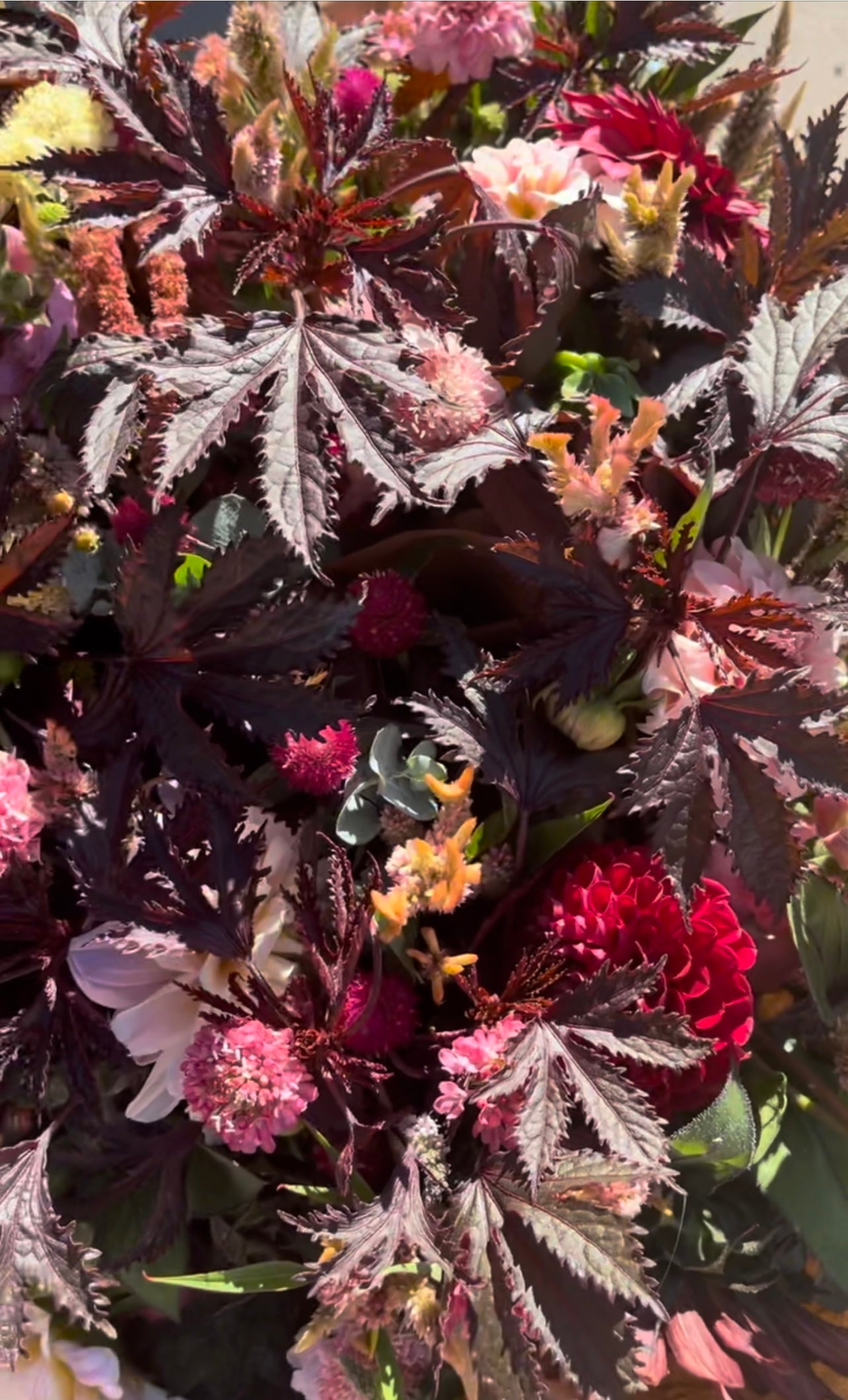 Fall Bouquet Subscription