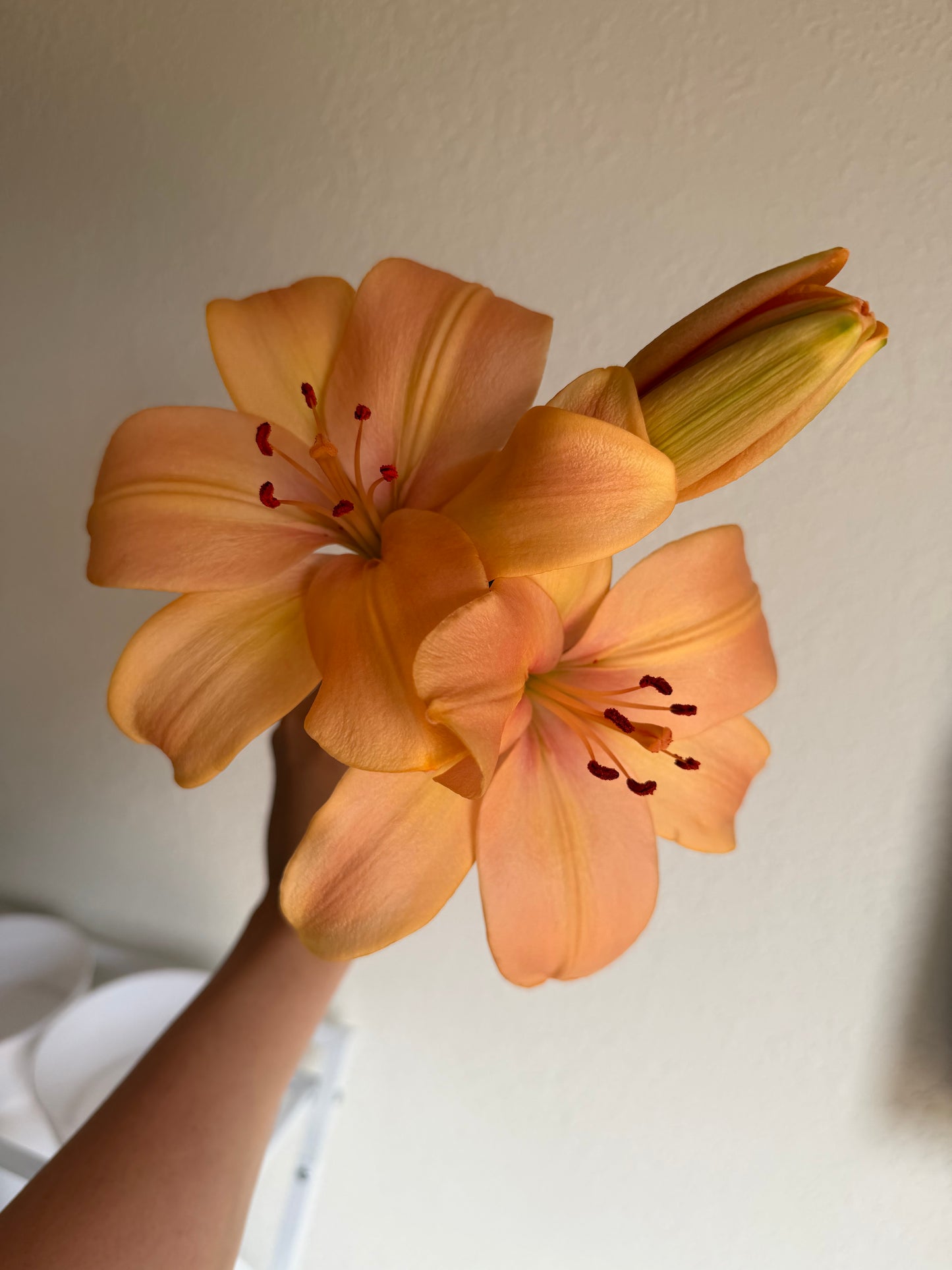 Just Because Bouquet I Delivery June 27th