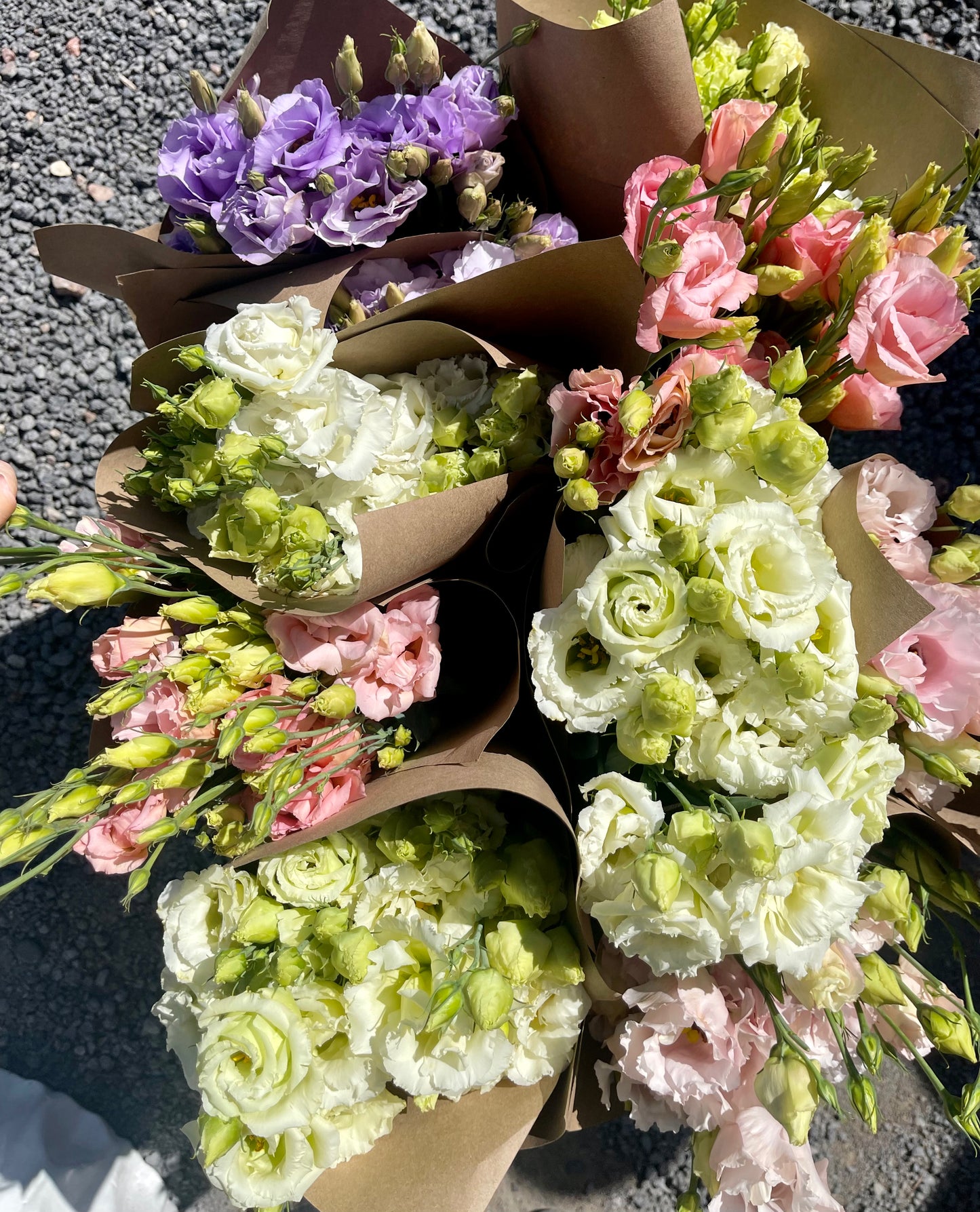 Straight Bunch, Lisianthus