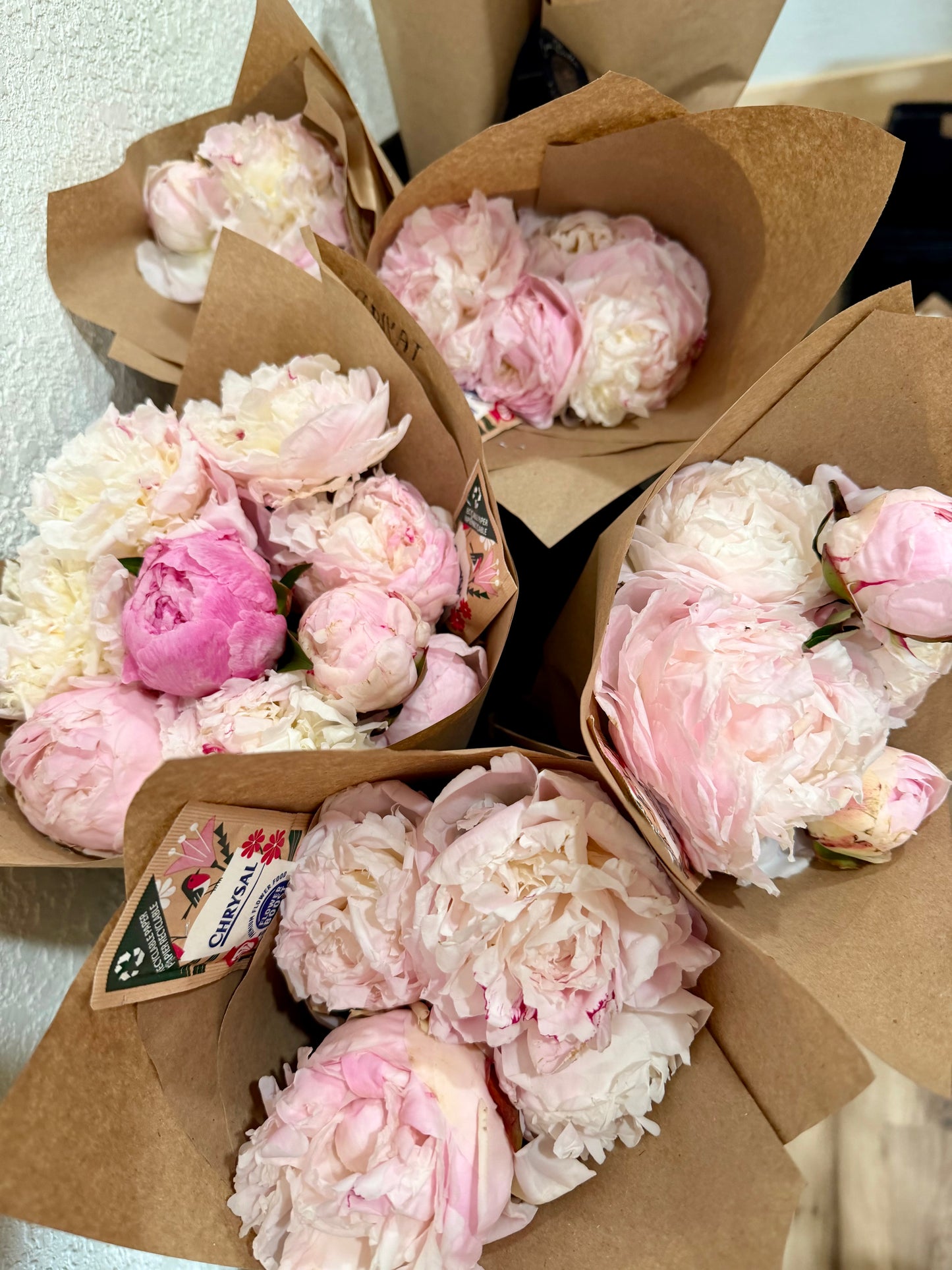 Peony Assortment, Luxe w/o Gift Wrap