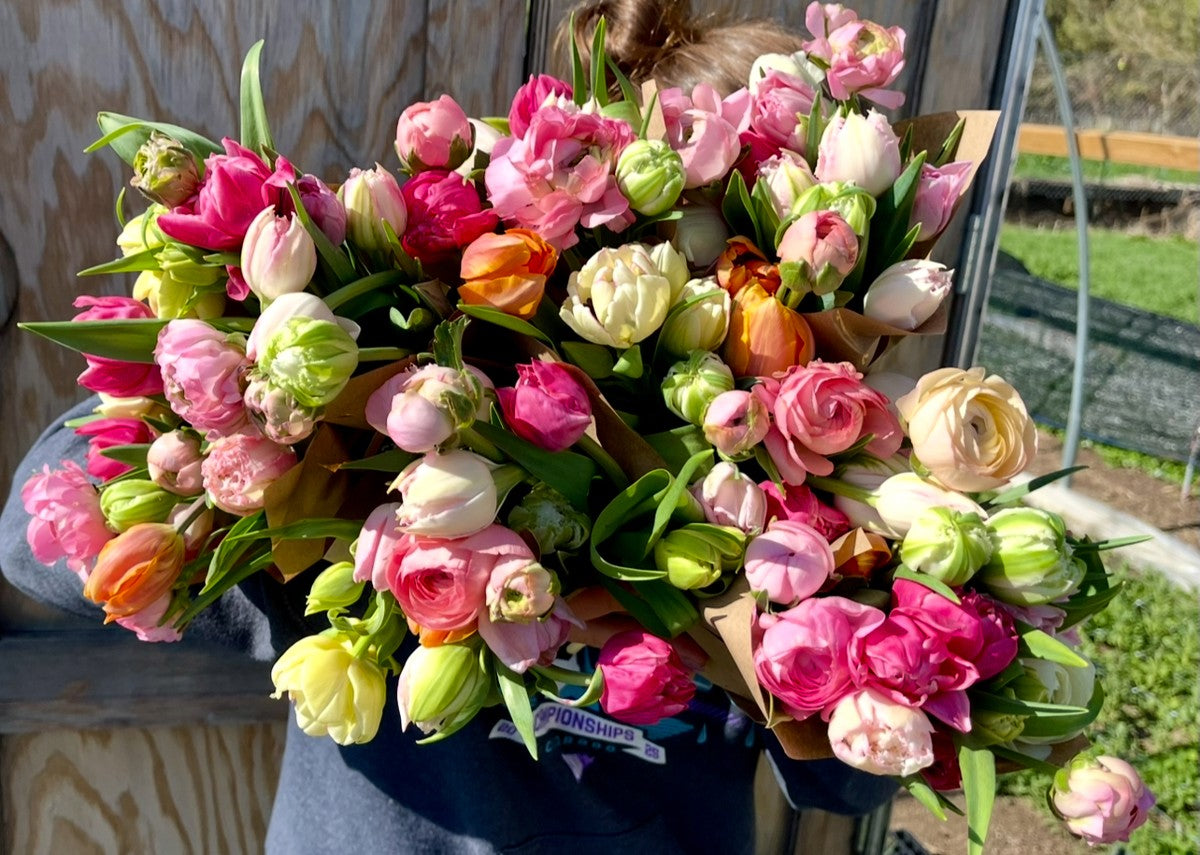 All-Season Bouquet Subscription
