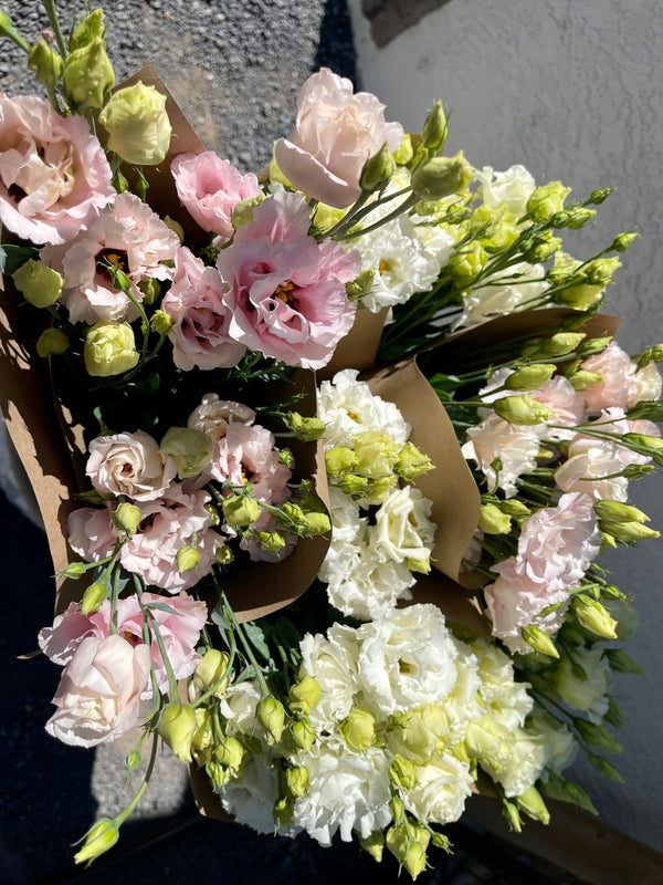 Straight Bunch, Lisianthus – Cocoa Bella Flower Co.